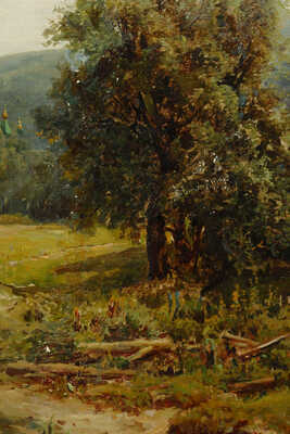 Прокофьев Алексей Матвеевич. Лесной пейзаж с рекой (копия с картины Вельца)